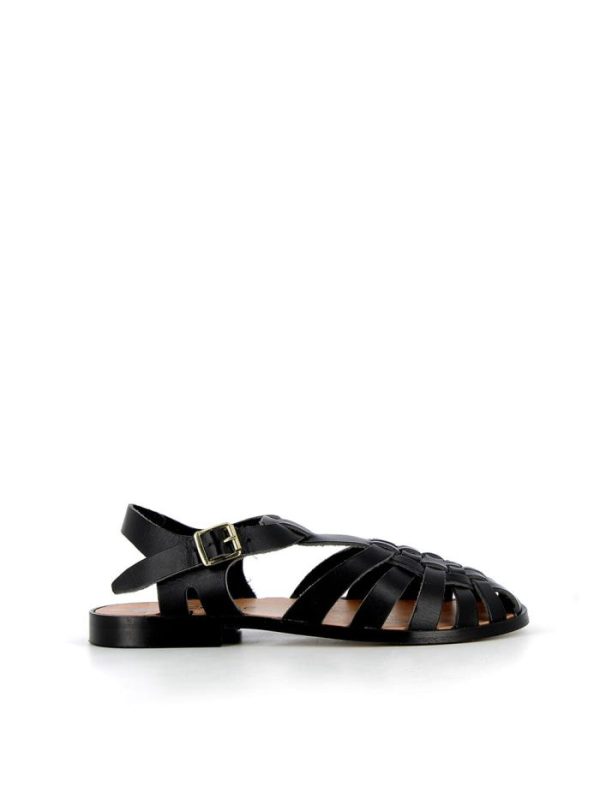 Cocososa.shop17bdce99a6 1