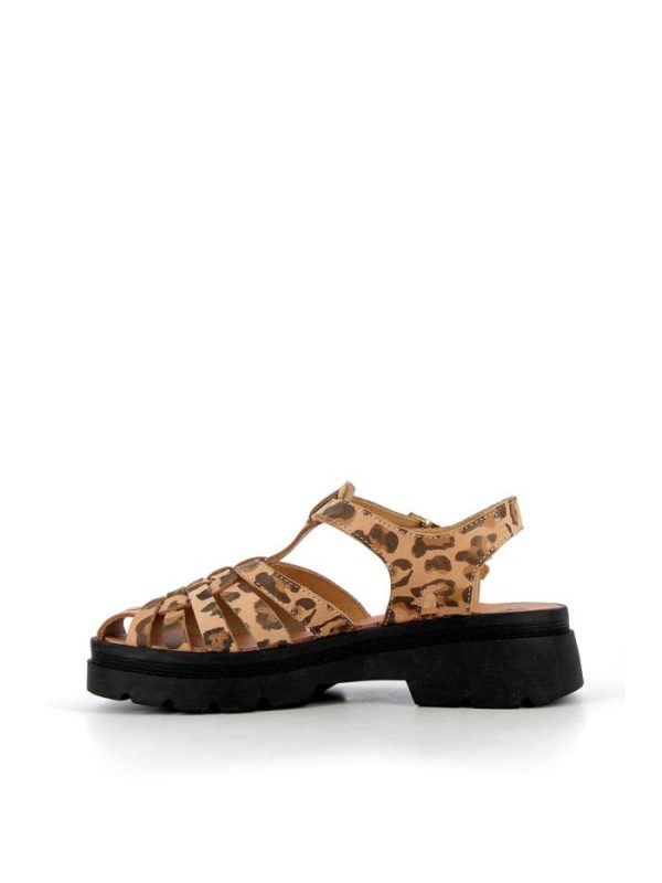 Cocososa.shop71cc63ae81 3